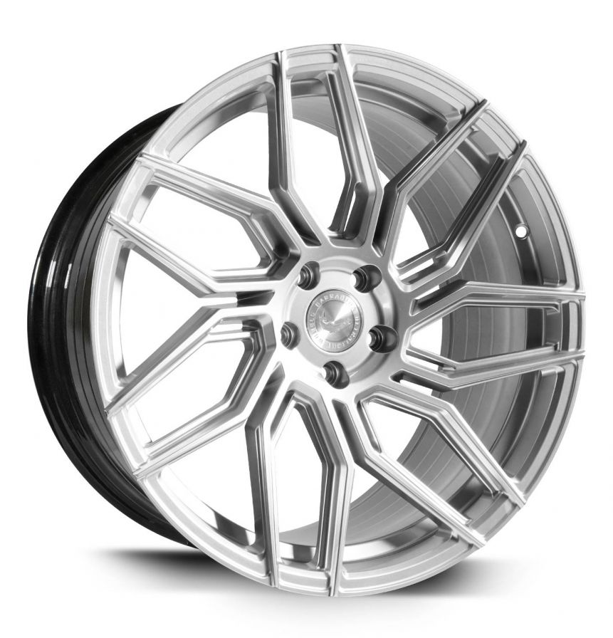 Barracuda<br>Dragoon - Higloss Silver (20x10)
